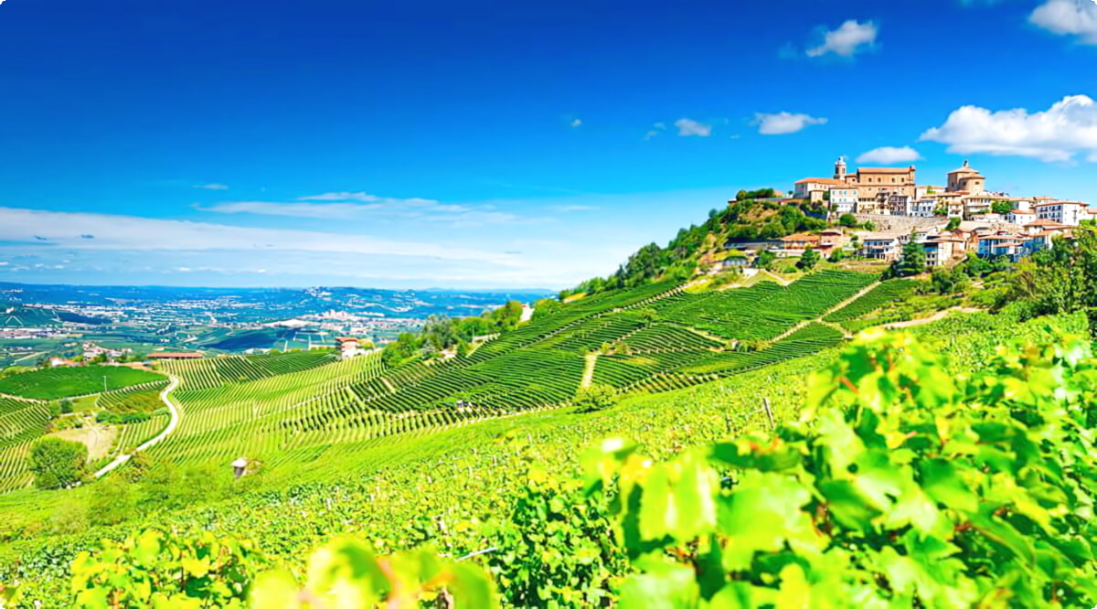 Jaké jsou nejoblíbenější volby vozidel v Barbaresco?